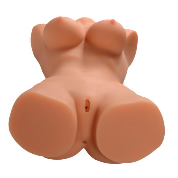 Image du produit