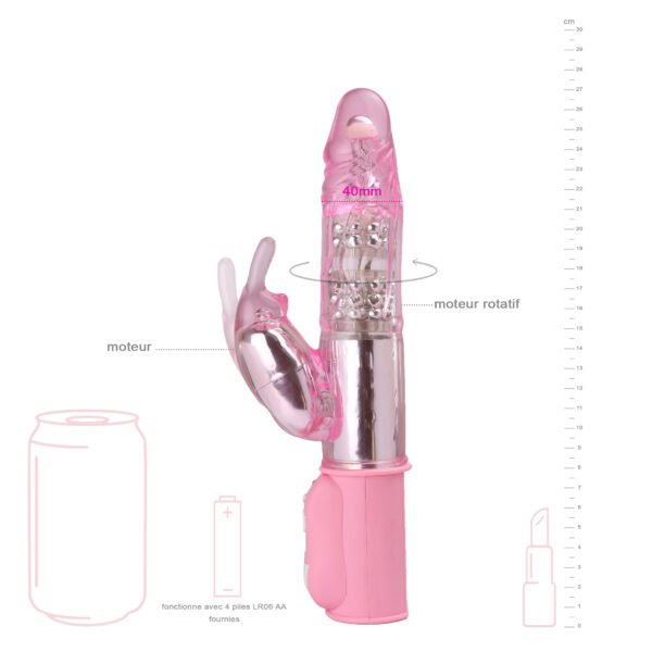 Image du produit
